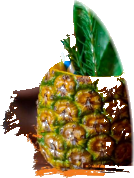 Piña Colada